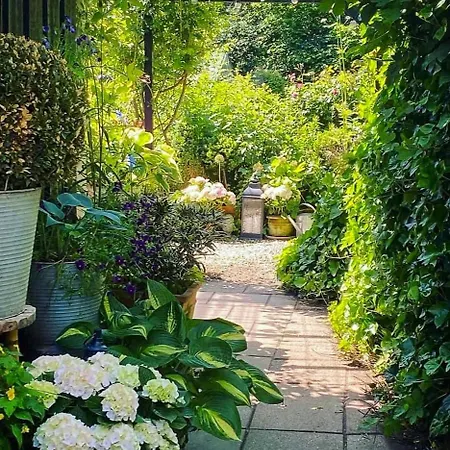 House With Rose Garden And Greenhouse In Casa vacanze