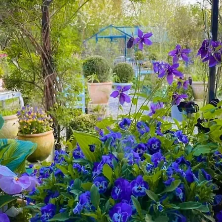 House With Rose Garden And Greenhouse In